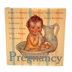Charming Pregnancy Collection Book The Little‎ Big Book of Pregnancy